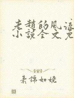 老赵的风流人生小说全文免费阅读