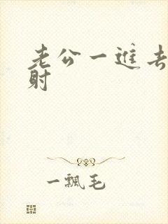 老公一进去就想射