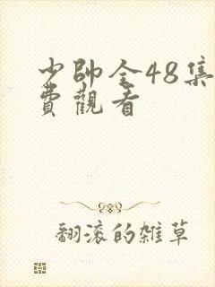 少帅全48集免费观看