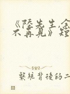 《陆先生,余生不再见》短剧