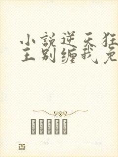 小说逆天狂妃邪王别缠我免费txt下载