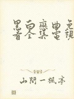 黑白恋曲免费观看全集电视剧高清