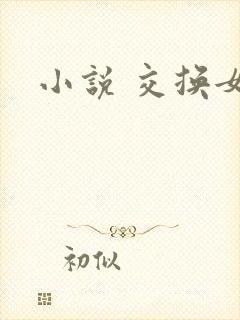 小说 交换女友
