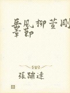 岳风柳萱刚全部章节