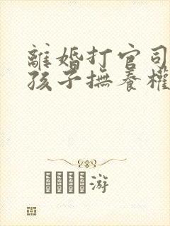 离婚打官司争夺孩子抚养权