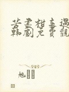 苦尽柑来遇见你韩剧免费观看完整版高清国语封面