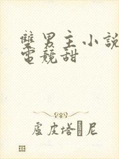 双男主小说推荐电竞甜封面