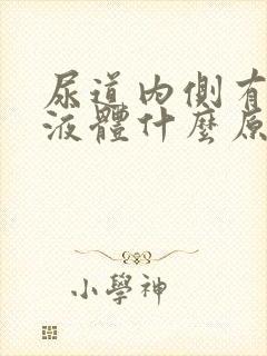 尿道内侧有黄色液体什么原因