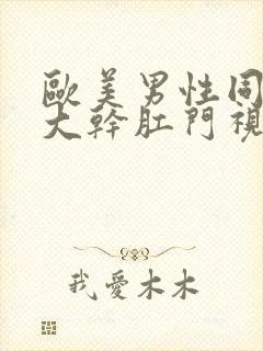 欧美男性同性恋大干肛门视频网站封面