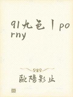 91九色丨porny