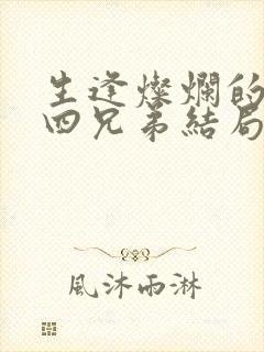 生逢灿烂的日子四兄弟结局