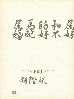 属马的和属鸡的婚配好不好封面