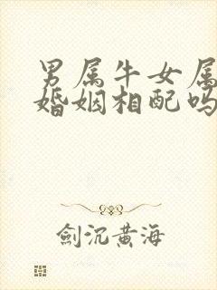 男属牛女属龙的婚姻相配吗
