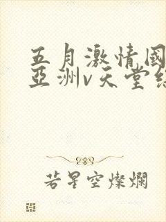 五月激情国产v亚洲v天堂综合