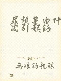 尿频是由什么原因引起的