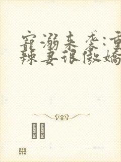 宠溺来袭:重生辣妻很傲娇封面