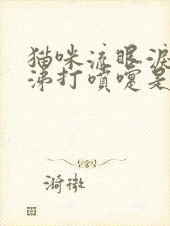 猫咪流眼泪流鼻涕打喷嚏是怎么回事封面