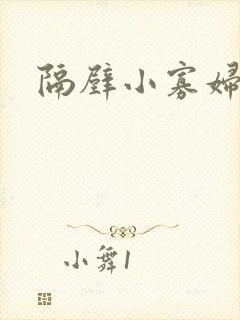 隔壁小寡妇封面