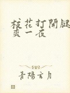 校花打开腿让我爽一夜封面