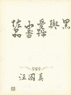 佐山爱与黑人作品番号