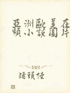 亚洲欧美在线视频小说图片