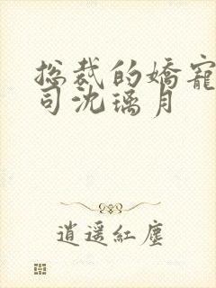 总裁的娇宠妻傅司沈璃月