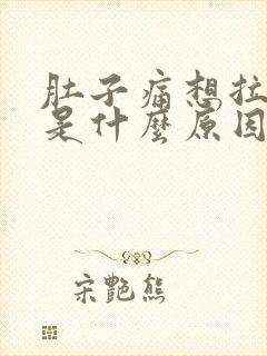 肚子痛想拉大便是什么原因