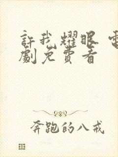 许我耀眼 电视剧免费看