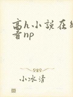 高h小说在线观看np