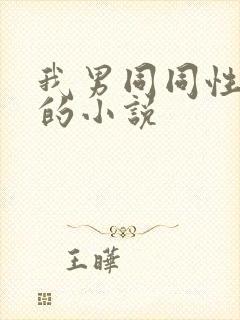 我男同同性做受的小说封面