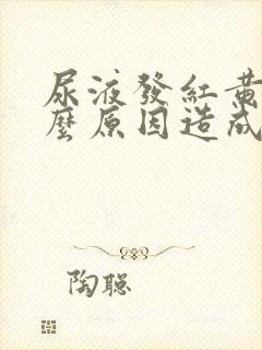 尿液发红黄是什么原因造成的封面