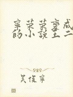 宁荣荣变成荣奴的小说王二狗封面