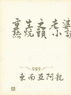 重生之老婆孩子热炕头 小说封面