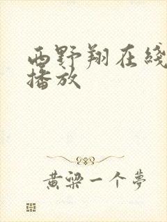 西野翔在线av播放