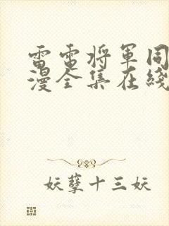 雷电将军同人动漫全集在线观看免费封面