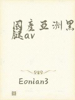 国产亚洲黑丝美腿av