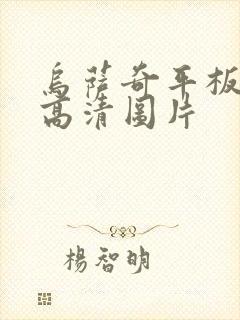 乌萨奇平板壁纸高清图片