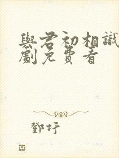 与君初相识电视剧免费看