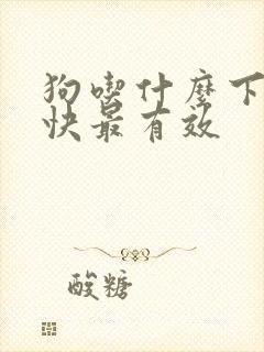 狗吃什么下奶最快最有效