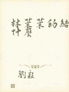 林茉茉的结局是什么