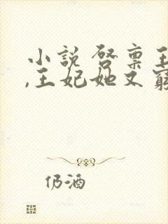 小说 启禀王爷,王妃她又穷疯了