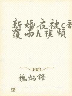 新婚夜被c翻云覆雨h视频