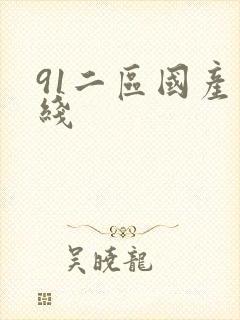 91二区国产在线