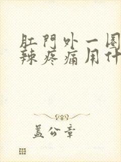 肛门外一圈火辣辣疼痛用什么药