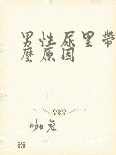 男性尿里带血什么原因