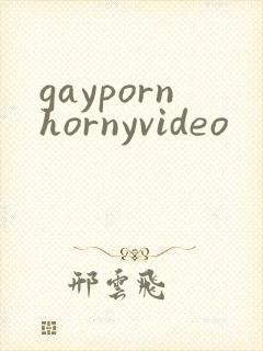 gaypornhornyvideo