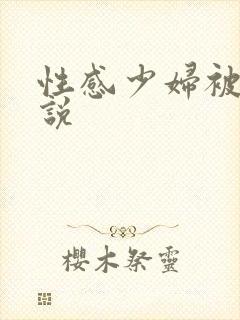 性感少妇被插小说