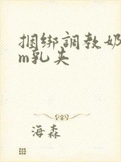 捆绑调教奶头sm乳夹封面