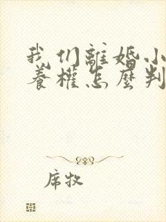 我们离婚小孩抚养权怎么判