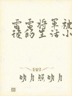 雷电将军被俘虏后的生活小说